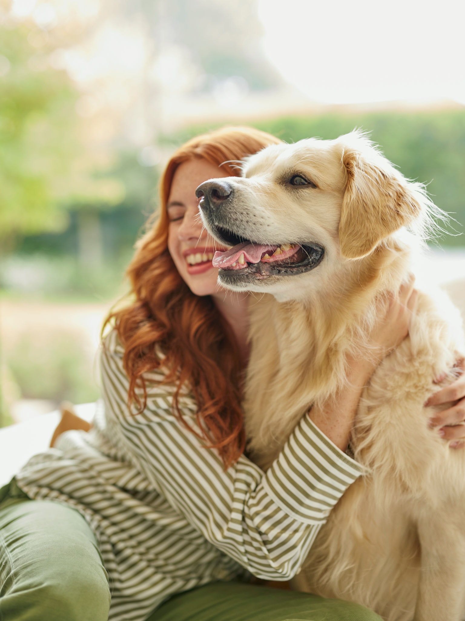 Život s domácími zvířaty a potlačování příznaků alergie na domácí zvířata doma