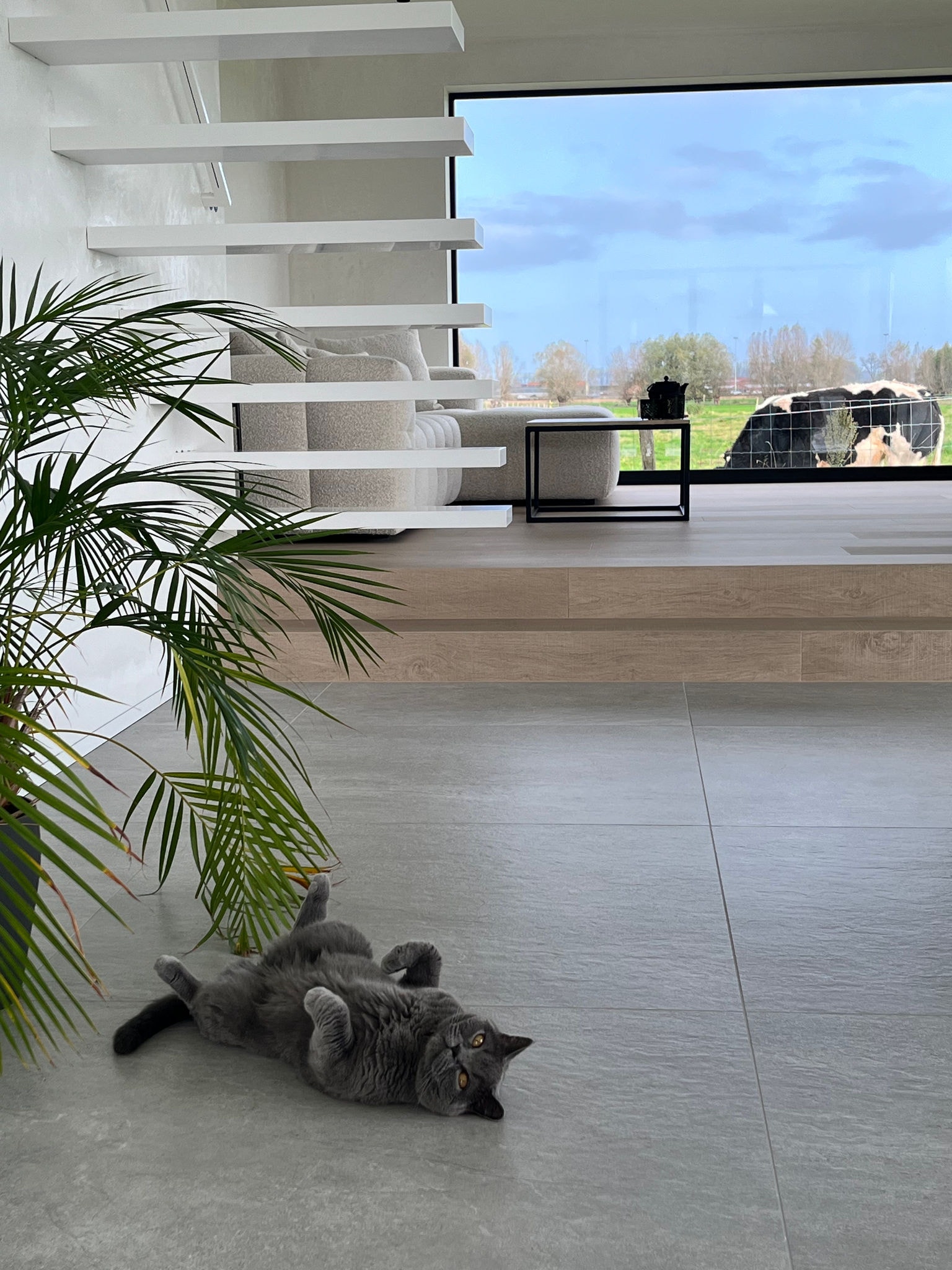 Prostorný obývací pokoj s energeticky účinným vytápěním poháněným tepelným čerpadlem Daikin