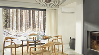 FTXTM-S_Vintage Lover_16-9_1B.tif