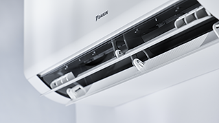 CTXM-A_Details_04.tif