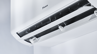 CTXM-A_Details_06.tif