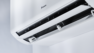 FTXM-B_Details_07.tif