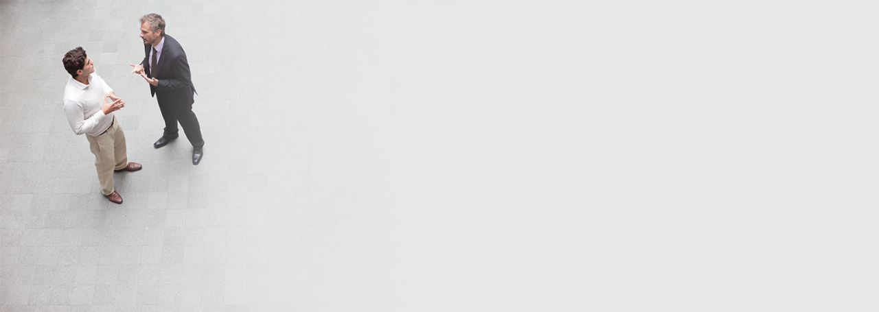 Flexibilní partnerství